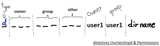 Directories ownership and permissions