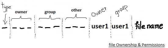 File ownership and permissions