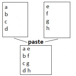 paste - command