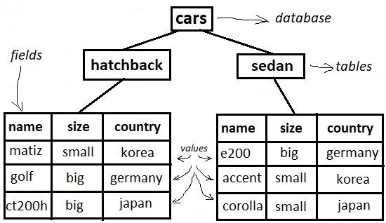 Databases, tables, columns, and rows