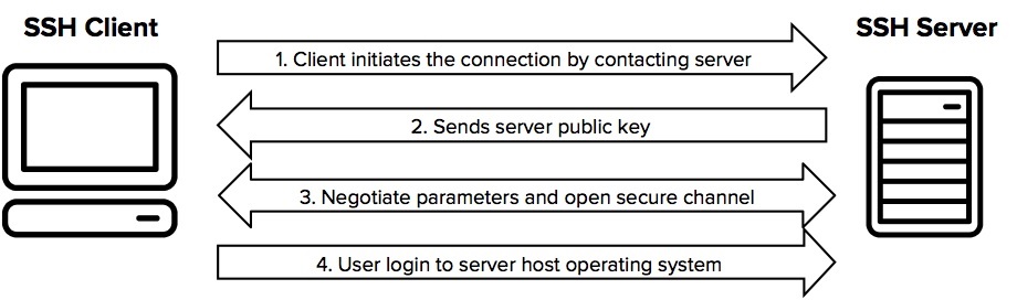 How does the ssh protocol work?