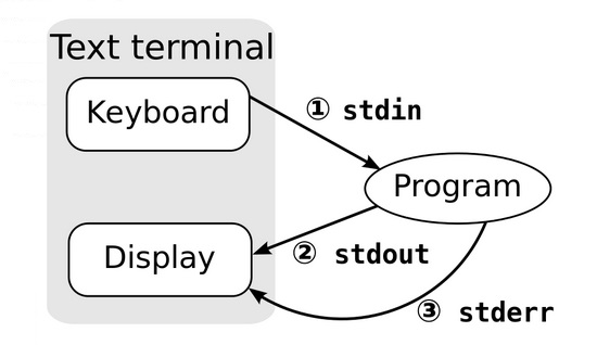 Input, output, and streams